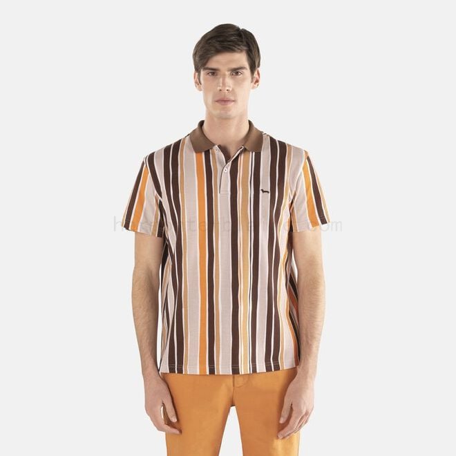 (image for) negozi harmont & blaine Desert oasis striped polo shirt F08511-0632